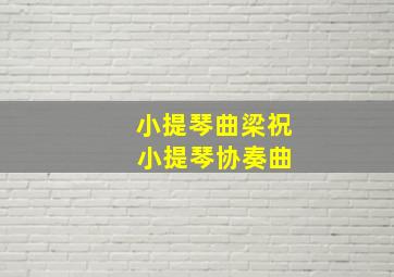 小提琴曲梁祝 小提琴协奏曲